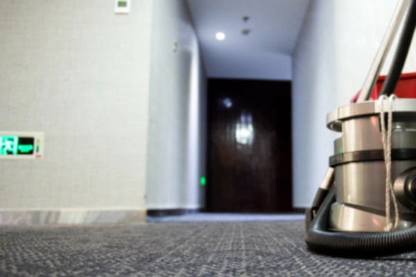 Carpet Cleaning Services