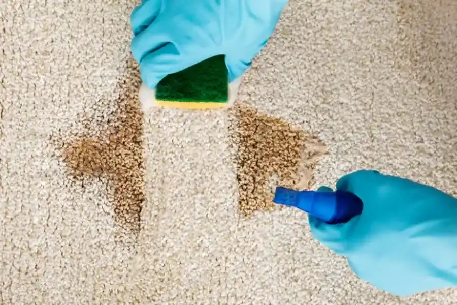 Local Carpet Cleaning Services Bend, OR Local Carpet Cleaning Services Bend, OR